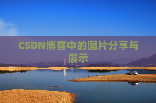 CSDN博客中的图片分享与展示